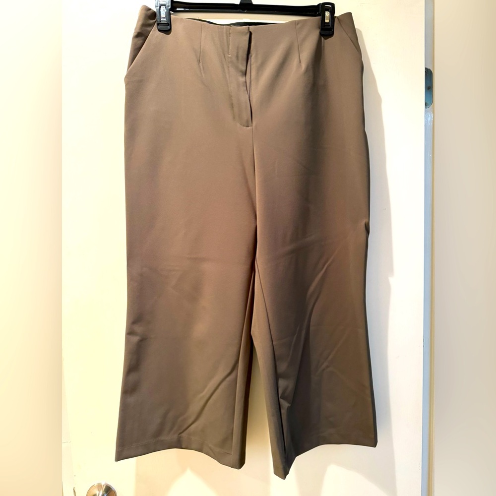 This is an army green wide leg ankle pant size 14. NWOT